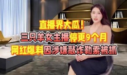 三只羊视频最新爆料,揭秘幕后真相与惊人内幕