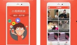 转发爆料视频完整版,转发爆料视频完整版深度解析